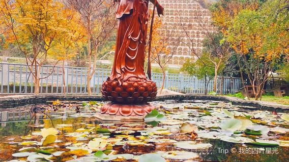 Wuzhen Temple Scenic Resort