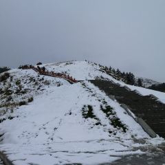 创意园姥家大锅台 User Photo