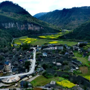 九龍村