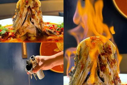 TAN ZONG DUO JIAO YU TOU