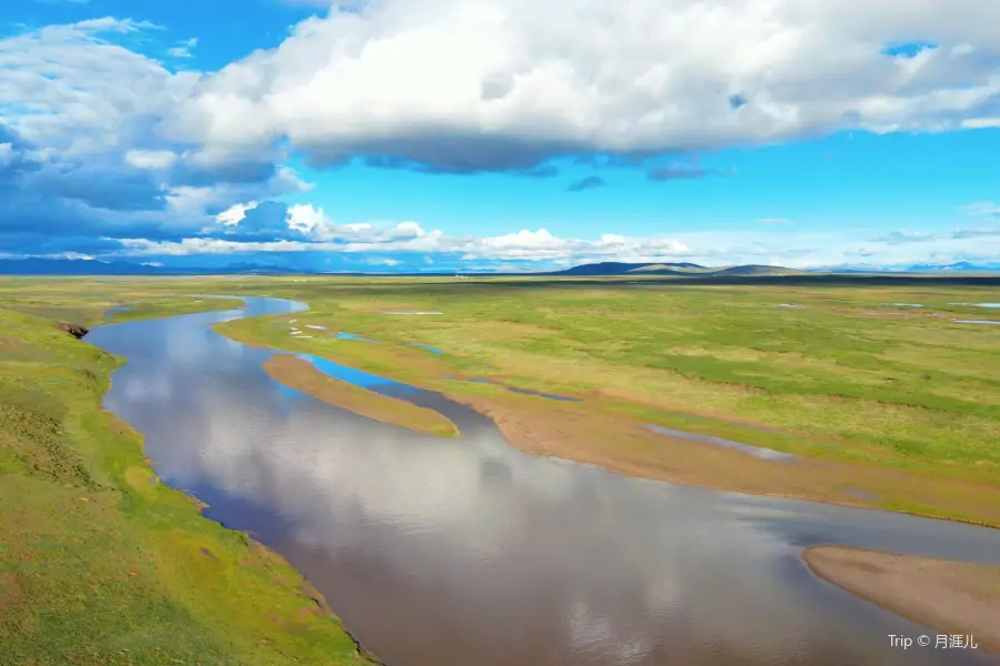 Qiangtang Grassland