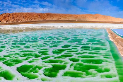 Jingyuangaliumeiweiyanggaorou