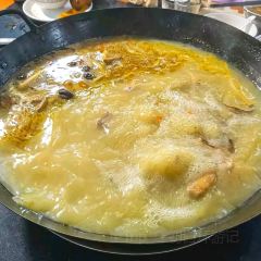 桑拿鸡 User Photo