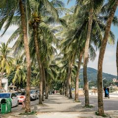 TEMPO海景餐酒吧張用戶圖片