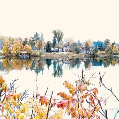 Fishbone By The Lake User Photo