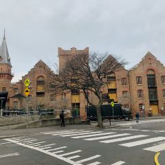 The Tea Cosy User Photo