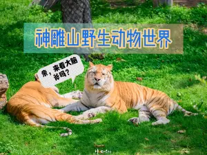 西霞口神鵰山野生動物園