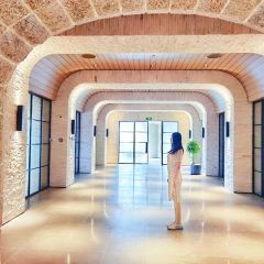 Runaway Cow Canton 8 User Photo