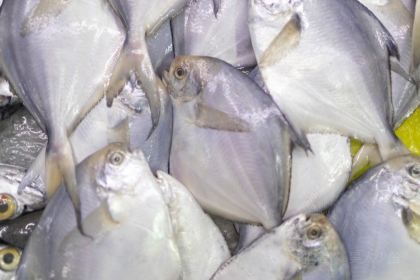 嵊泗县中心农贸市场