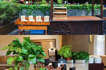 無錫拈花灣君來波羅蜜多酒店·禪食館