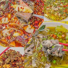 麻辣佬張用戶圖片