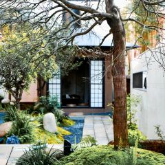 武夷山观蓝舒苑空间·餐厅 User Photo