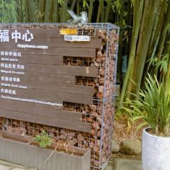 鲜道幸福里(重庆路店) User Photo
