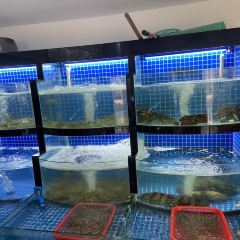 小海豚渔村(恒大威尼斯店) User Photo