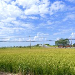 YANG CHENG HU LIAN HUA DAO XIE LAO BAN NONG GU LE User Photo