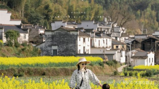 婺源汪槎｜梯田花海中，不为人知的桃源仙谷汪槎村，搜遍全网的信