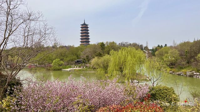 Garden of Myriad Flowers