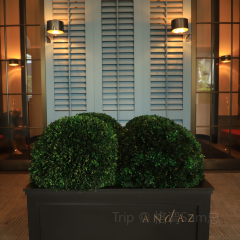 Andaz Shenzhen Bay·West Room User Photo