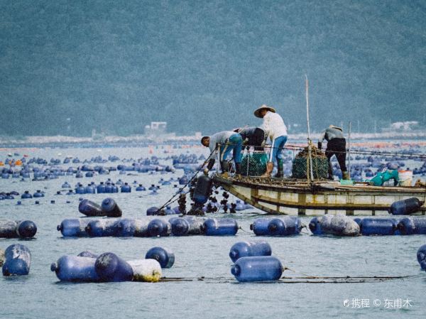 朋友圈出海捕魚