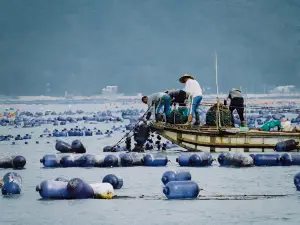 朋友圈出海捕魚