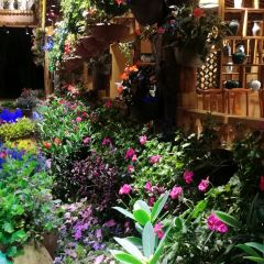 912张宜花园餐厅 User Photo