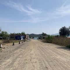 桂港海鮮城張用戶圖片