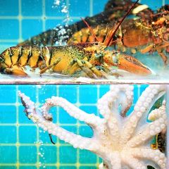 小二郎海鲜餐厅(后花园店) User Photo