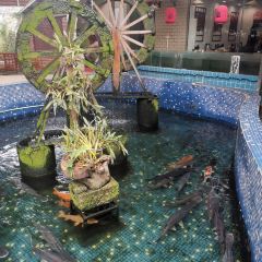 竹園農家飯店張用戶圖片