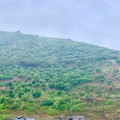 龙安小渔村(北流店) 여행 사진