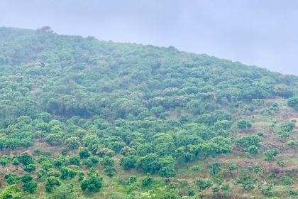 龙安小渔村(北流店)