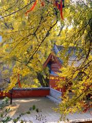 Yuquan Temple