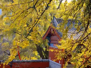 Yuquan Temple