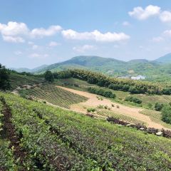 Xinlongshengtaiyuan User Photo