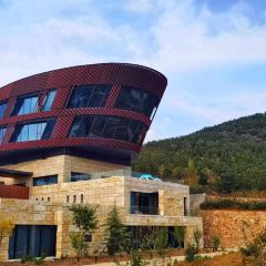 Runaway Cow Canton 8 User Photo