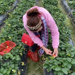 野趣園8號庭院張用戶圖片