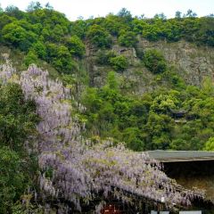 Fuchunjiangluciwan Farm Family Resort User Photo