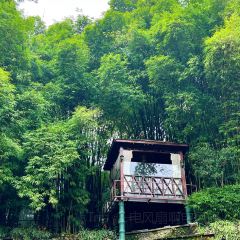 竹海听涛生态山庄 여행 사진