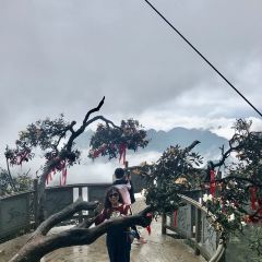 莽山天台山美食 User Photo