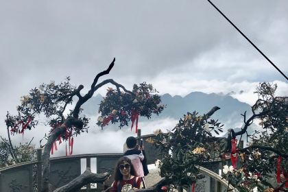 莽山天台山美食