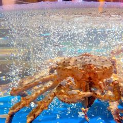 徐记海鲜(新世界中心店) User Photo