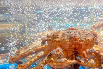 徐记海鲜(新世界中心店)