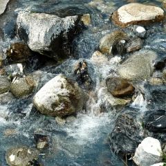 味道秦岭 User Photo