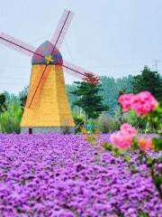 Liuzi Lavender Garden