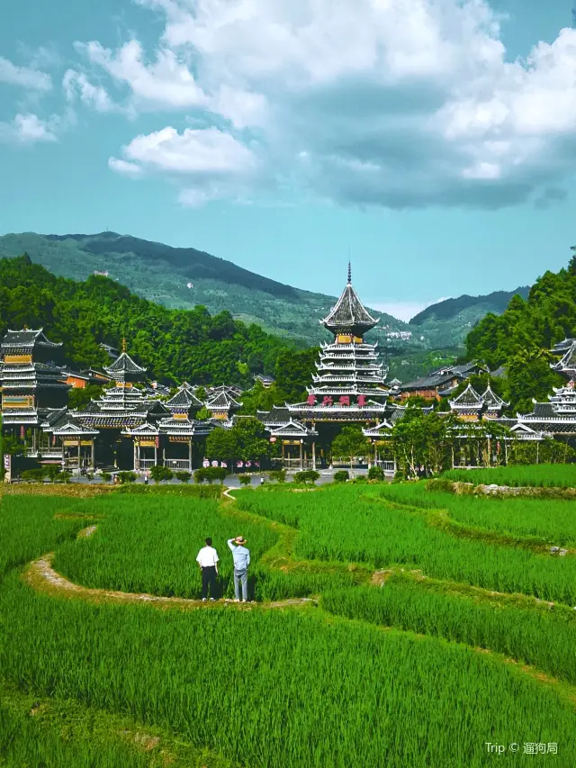Terraced Fields Viewing in Liping