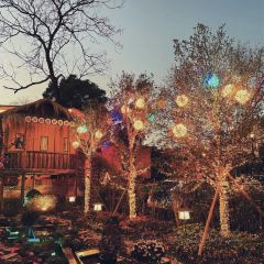 丽景寻鲜(古城丽影店) User Photo