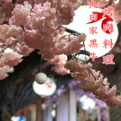 九田家果木烤肉(銀泰店)張用戶圖片