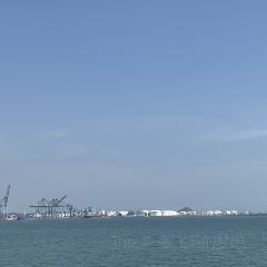 桂港海鮮城張用戶圖片