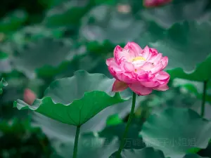เขื่อนอันหลงจั่ว
