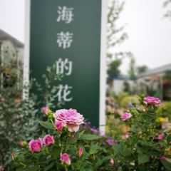 Tenka User Photo