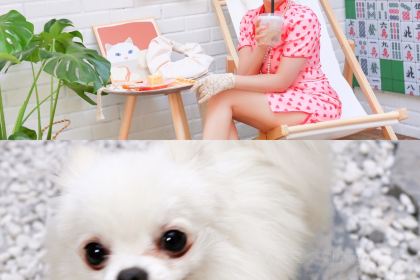 蒲公英(德隆街店)